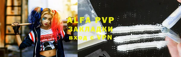 spice Аркадак