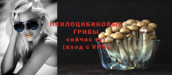 ALPHA-PVP Арсеньев