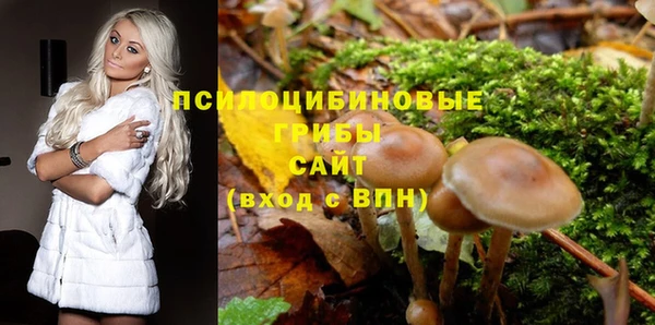 кокс Армянск