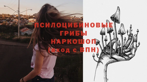 кокс Армянск