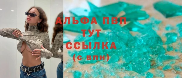 spice Аркадак